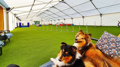 Lightweight tent hall, Zachrašťany